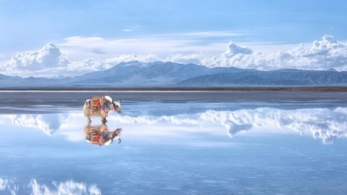 02-Chaka Salt Lake in Qinghai-9X Minerals